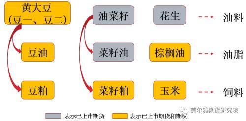 黄大豆1号、黄大豆2号和豆油期货期权上市啦<strong></p>
<p>期货豆油</strong>！上市策略展望请收好！