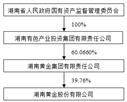 湖南黄金股份有限公司2022年度报告摘要