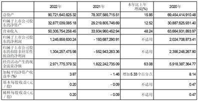 山东黄金矿业股份有限公司2022年度报告摘要