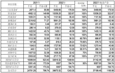 山东黄金矿业股份有限公司2022年度报告摘要
