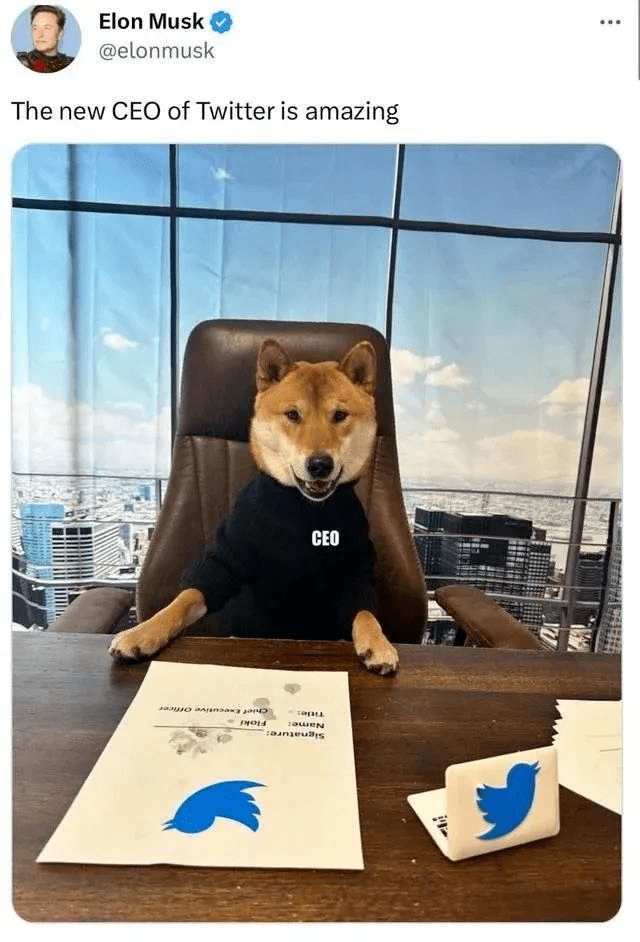 马斯克又任性了！将推特“蓝鸟”换成“狗头”<strong></p>
<p>狗狗币今日价格</strong>，意欲何为？
