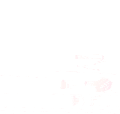 致应征青年和家长的廉洁征兵公开信