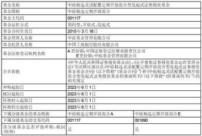 中欧精选灵活配置定期开放混合型发起式证券投资基金 开放申购、赎回、转换业务的公告