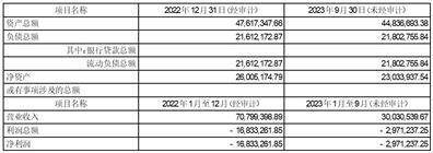 证券代码：000670 证券简称：盈方微 公告编号：2024-010