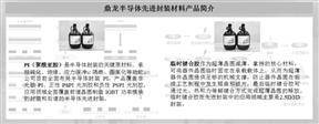 证券代码：300054 证券简称：鼎龙股份 公告编号：2024-026