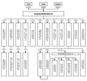证券代码：300054 证券简称：鼎龙股份 公告编号：2024-026