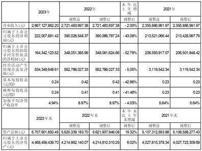 证券代码：300054 证券简称：鼎龙股份 公告编号：2024-026