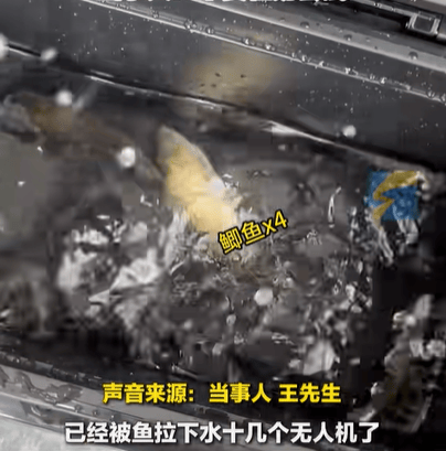 男子在家操控无人机钓鱼<strong></p>
<p>泰阳证券</strong>，当天就钓上十几条，当事人：不要轻易尝试，已被鱼拉下水十几个无人机