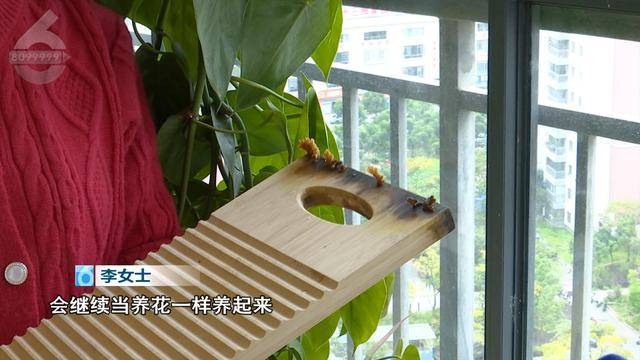 “可以蒸蛋”！昆明一女子家中搓衣板上长菌<strong></p>
<p>证券投资基金业协会</strong>，品种竟是……