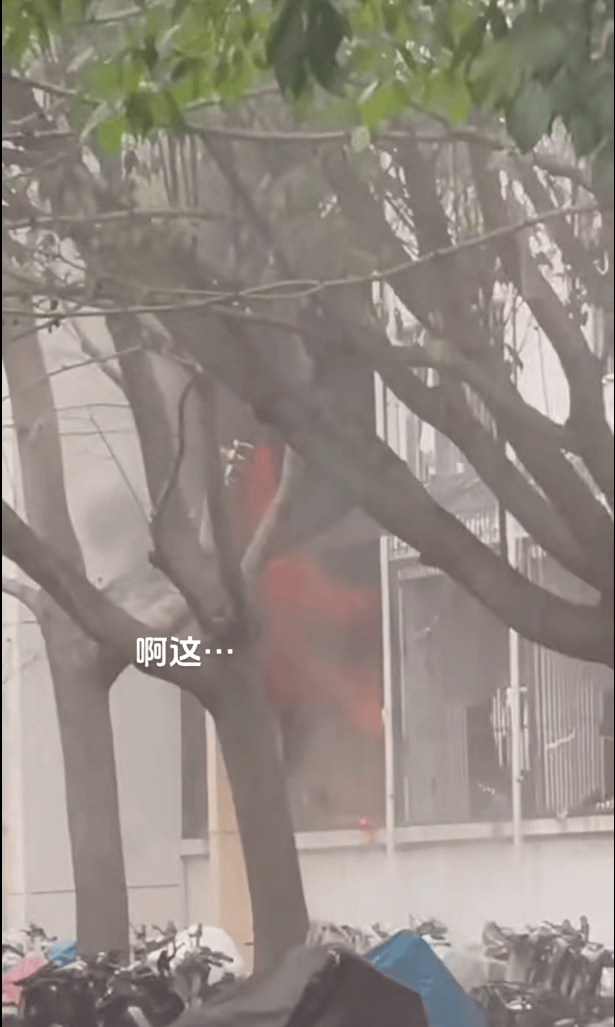 女生宿舍起火<strong></p>
<p>华泰证券官方网站</strong>，楼栋闸机成撤离“拦路虎”，警务室：刷脸是为保障安全