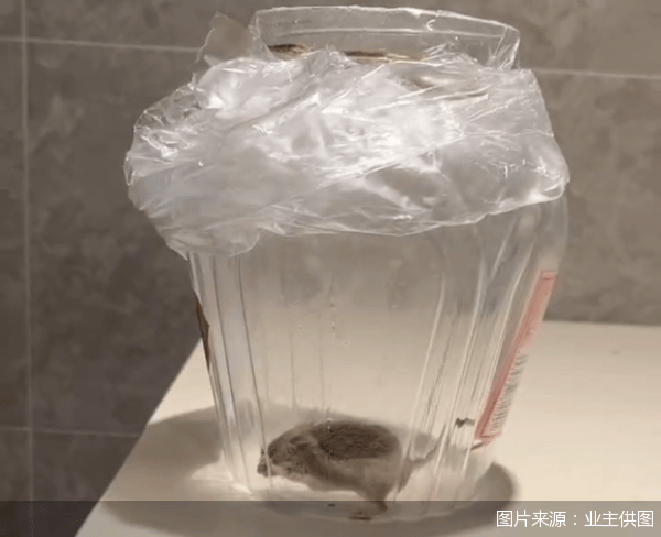 老鼠乱窜、直饮水发黄<strong></p>
<p>华泰证券官方网站</strong>，北京业主千万元买的和锦诚园居然是这样