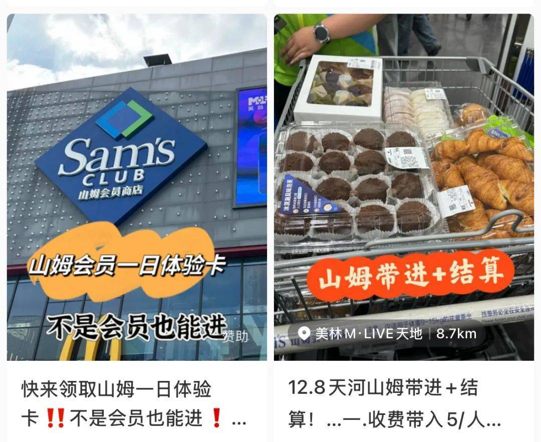 山姆突然被曝<strong></p>
<p>币圈最新行情</strong>！网友热议！广州、深圳情况是……