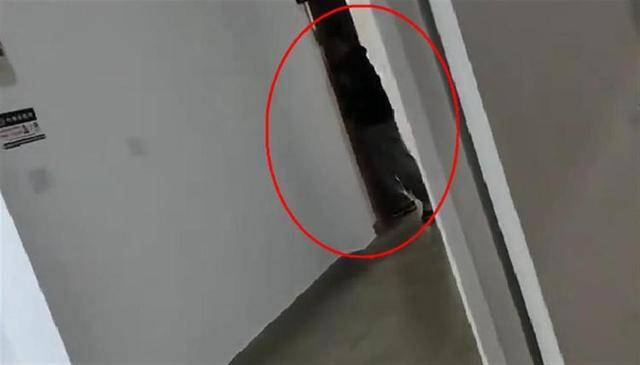 上海一高校男生晚上撞开女生寝室门<strong></p>
<p>币港湾</strong>，校方：醉酒后走错了