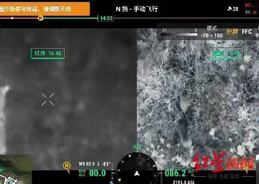 揭秘“野猪猎捕队”丨海拔3000米高山密林<strong></p>
<p>美国虚拟币</strong>，记者跟队直击猎捕野猪全过程