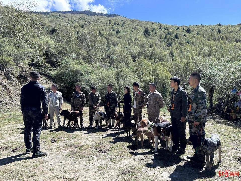 揭秘“野猪猎捕队”丨海拔3000米高山密林<strong></p>
<p>美国虚拟币</strong>，记者跟队直击猎捕野猪全过程