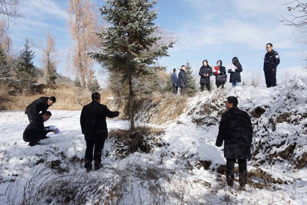 还有8天刑满释放<strong></p>
<p>虚拟币的ico</strong>，十年有期徒刑变为死缓，最高检抗诉的甘肃马某林案获改判