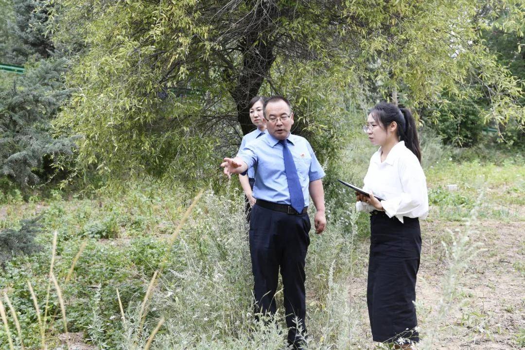 还有8天刑满释放<strong></p>
<p>虚拟币的ico</strong>，十年有期徒刑变为死缓，最高检抗诉的甘肃马某林案获改判