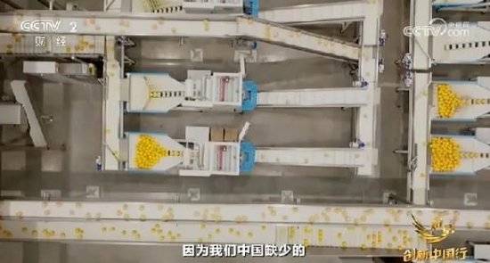 2024年末央视再度专访钟睒睒<strong></p>
<p>香港虚拟币</strong>，背后有何深意？