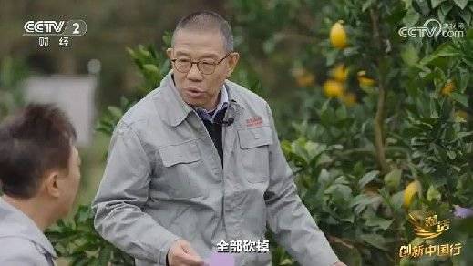 2024年末央视再度专访钟睒睒<strong></p>
<p>香港虚拟币</strong>，背后有何深意？