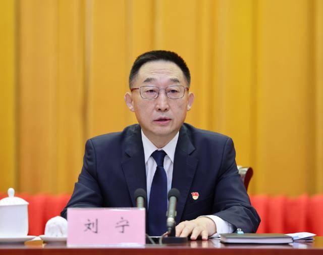 刘宁任河南省委书记<strong></p>
<p>送虚拟币</strong>，楼阳生因年龄原因不再担任
