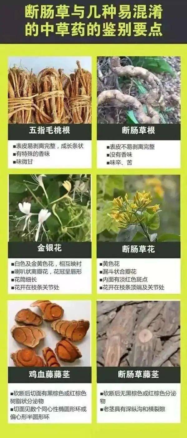 广东一老人买药材煲汤中毒身亡 当地：店铺误售断肠草<strong></p>
<p>虚拟币全球100排名</strong>，老板被拘留