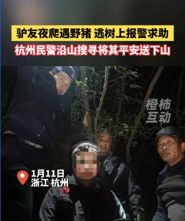 “我现在在树上<strong></p>
<p>edr虚拟币</strong>，野猪在下面……”杭州一男子深夜报警！