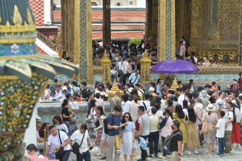 取消<strong></p>
<p>edr虚拟币</strong>！退款！损失30000多元也不要了……