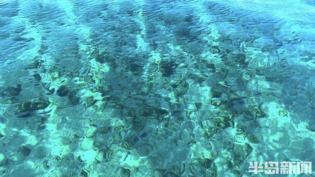 青岛女子买下70万平米小岛后续来了：目前没打算私有<strong></p>
<p>edr虚拟币</strong>，七八月份将带员工到岛上团建