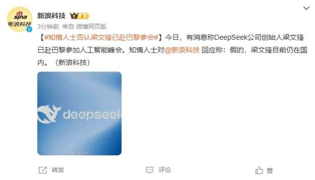 DeepSeek梁文锋用黑科技远程参加巴黎AI峰会？假的<strong></p>
<p>熊猫币虚拟币</strong>！