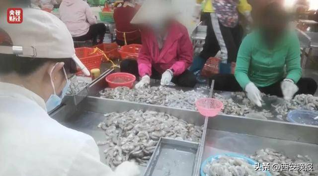 与辉同行或赔2000万<strong></p>
<p>虚拟股币</strong>，董宇辉曾称每个月检测费近百万