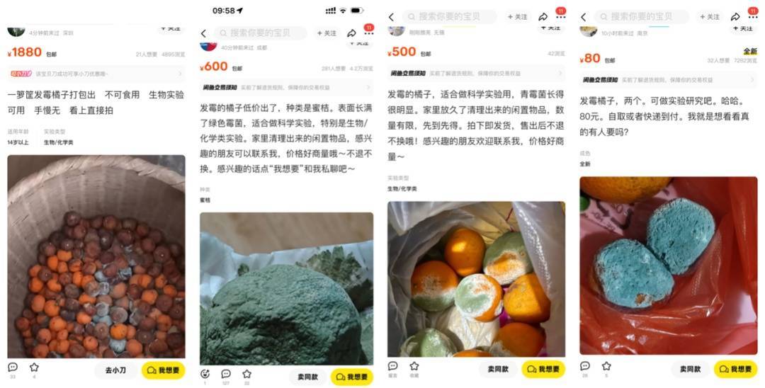 突然火了<strong></p>
<p>环球虚拟币</strong>！有人卖500元一个！网友：后悔扔了……