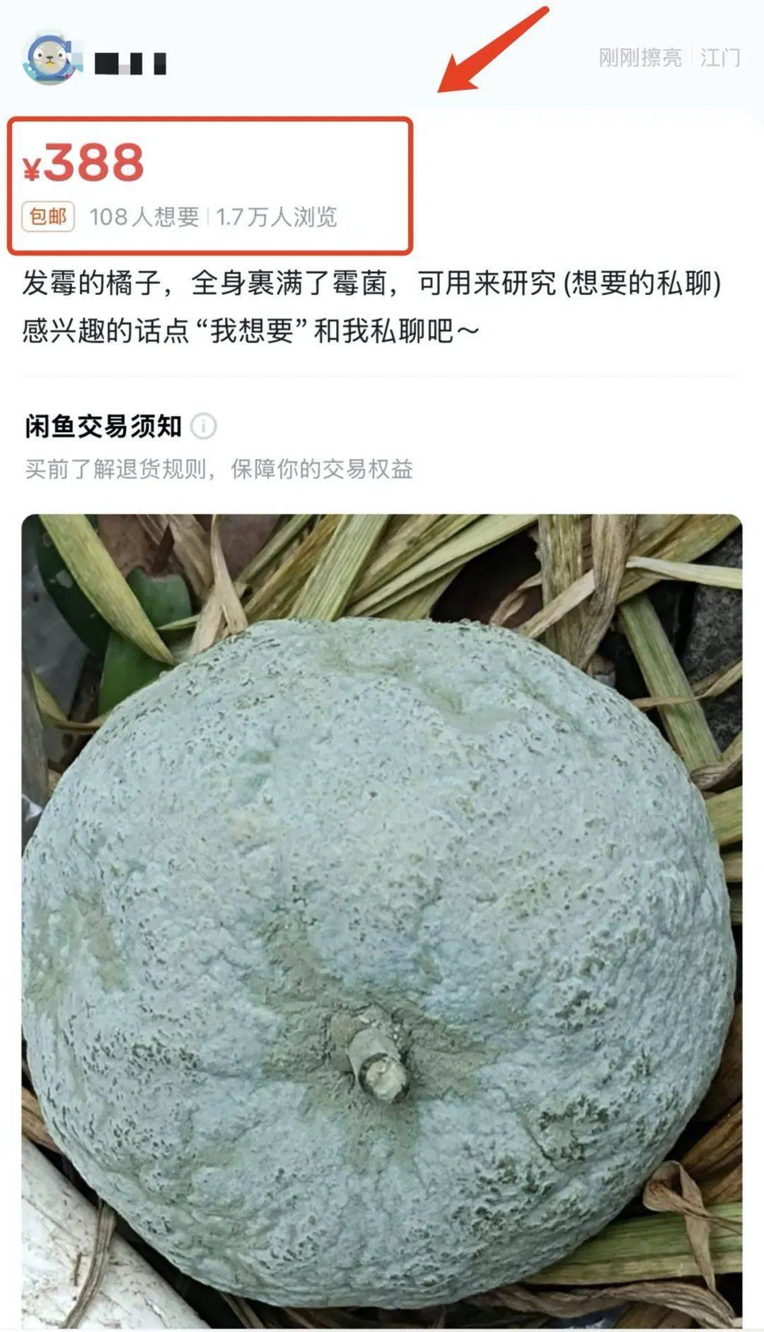 突然火了<strong></p>
<p>环球虚拟币</strong>！有人卖500元一个！网友：后悔扔了……