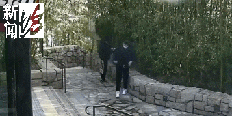 太猖狂！事发上海迪士尼<strong></p>
<p>炒虚拟币软件</strong>，7人被刑拘