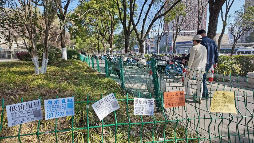 一二线城市房租普降<strong></p>
<p>炒虚拟币软件</strong>，房东主动降200留我