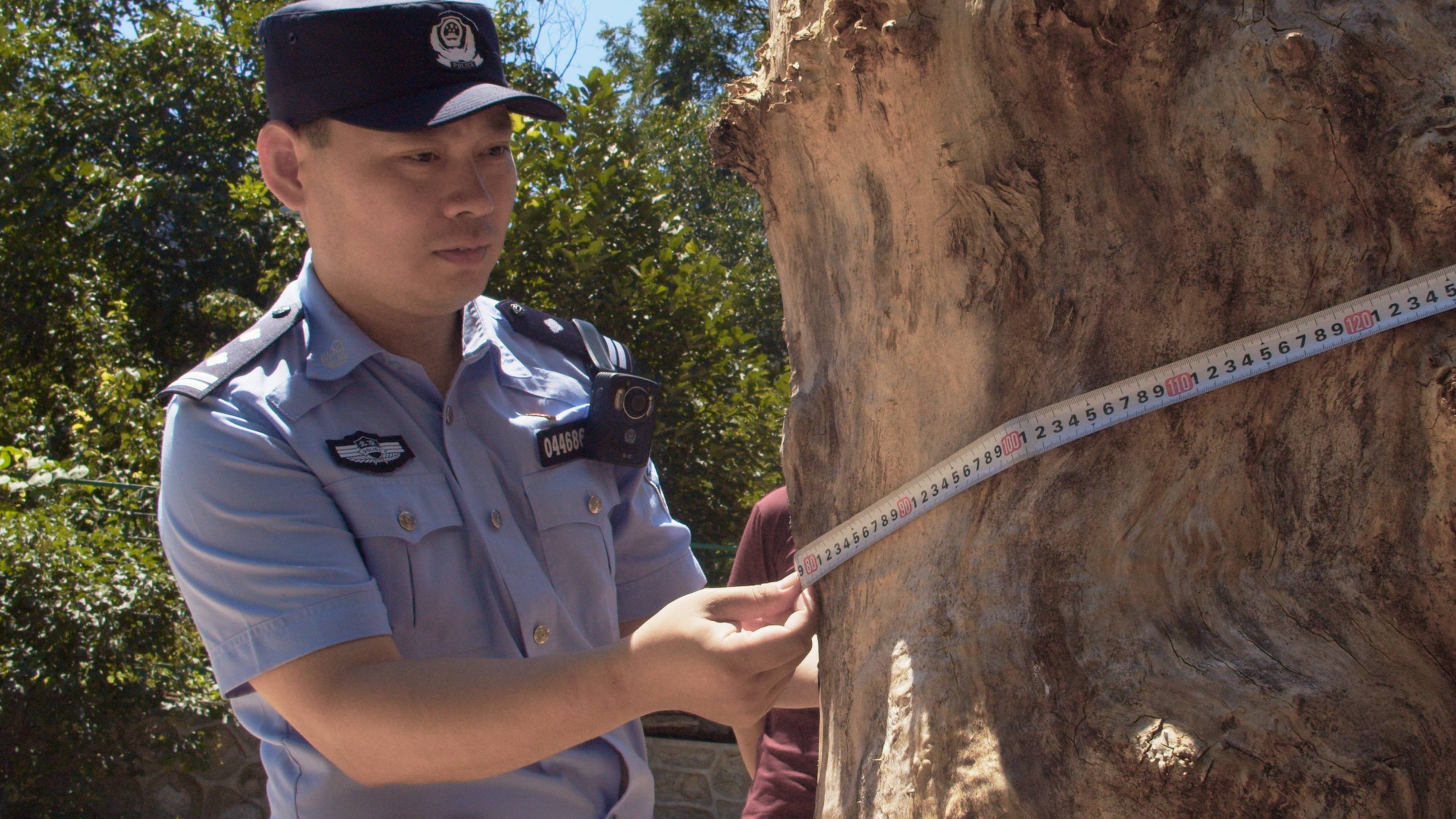 森林警察韩孟祺：乔装成驴友潜伏密林中<strong></p>
<p>虚拟币禁止交易</strong>，抓获“粘鸟”嫌疑人