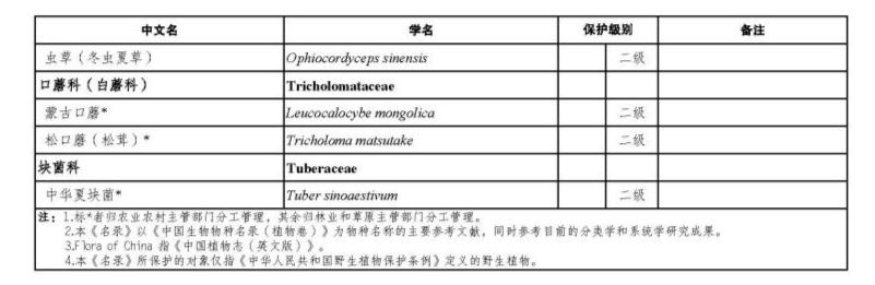 价值18万余元！男子在祁连山非法收购5632根冬虫夏草<strong></p>
<p>虚拟币团队</strong>，构成危害国家重点保护植物罪获刑