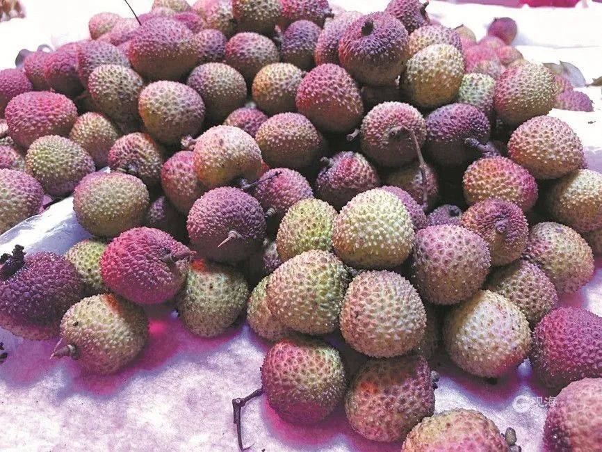大跳水<strong></p>
<p>虚拟币挖矿软件</strong>，暴跌40%！老板：一天一个价，估计还要跌