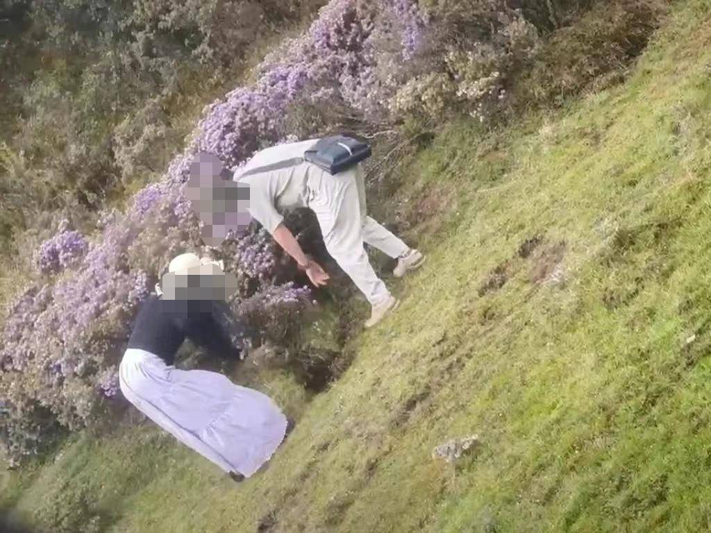 两游客在景区盗挖索玛花 警方：给予行政处罚<strong></p>
<p>虚拟币挖矿软件</strong>，两人认识到错误并作郑重道歉
