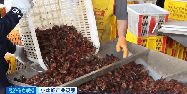 价格暴跌近50%<strong></p>
<p>虚拟币矿池</strong>！“接下来还会降”！青岛正大量上市……