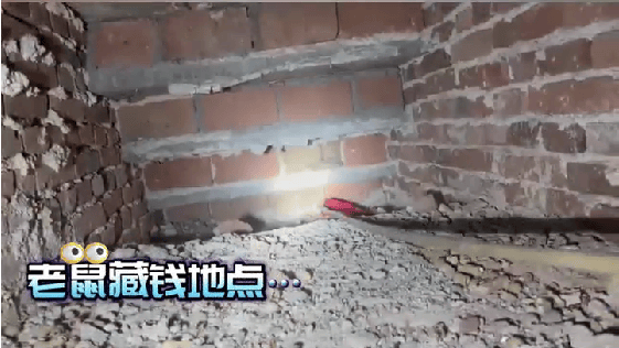 老人用红袜子包裹一万元现金藏在门框上<strong></p>
<p>1st虚拟币</strong>，一天后不翼而飞，警方破案：偷钱的是老鼠