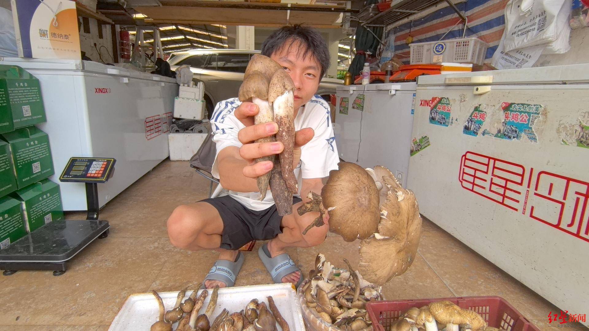 “天价”鸡枞调查：最贵卖到1800元/公斤！雨水少致产量低<strong></p>
<p>虚拟币如何炒</strong>，多地价高客少