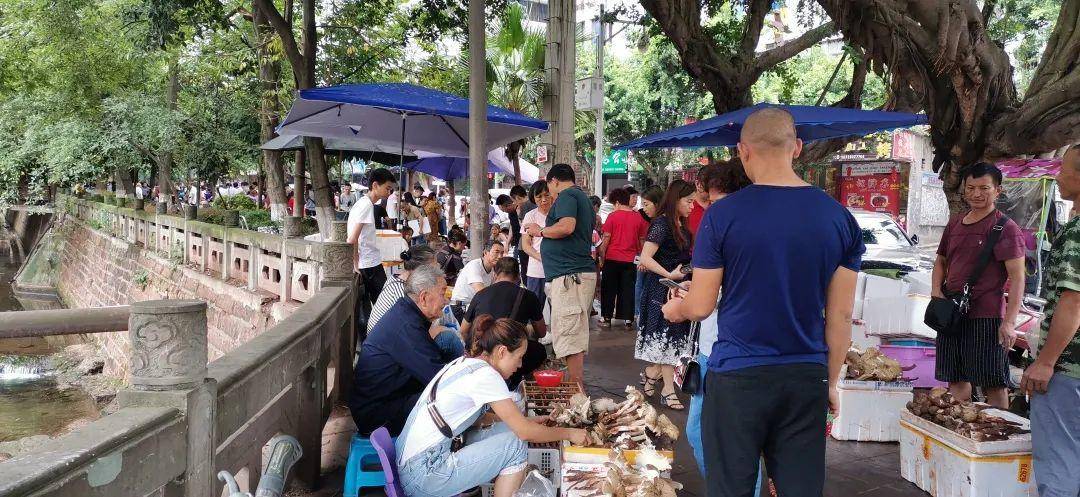 “天价”鸡枞调查：最贵卖到1800元/公斤！雨水少致产量低<strong></p>
<p>虚拟币如何炒</strong>，多地价高客少