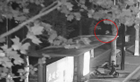 江苏一男子戴仿真“人皮”面具入室盗窃<strong></p>
<p>虚拟币如何炒</strong>，流窜多个小区作案，涉案金额达15万余元