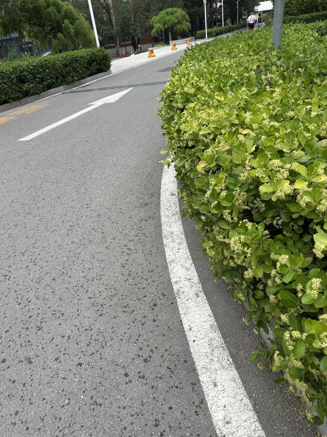 下雨了<strong></p>
<p>虚拟币概念股</strong>！天津接下来十天都是……