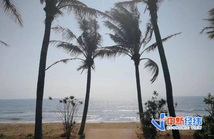 海南全岛封关时间定了<strong></p>
<p>虚拟币做空</strong>！啥是封关？与你有啥关系？