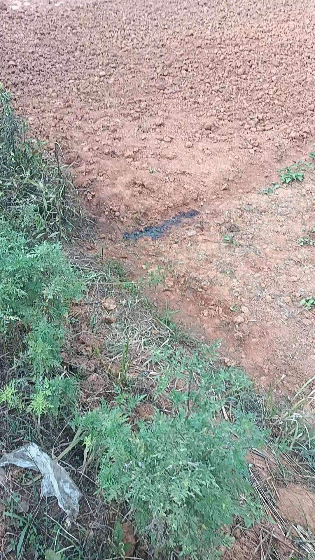 工人被误当猎物枪击身亡<strong></p>
<p>虚拟币汇总</strong>，警方通报：屈某某、罗某某被刑拘