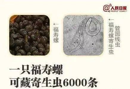 别吃！寄生虫多达6000条！浙江一地大量出现<strong></p>
<p>四大虚拟币</strong>，看到立刻上报