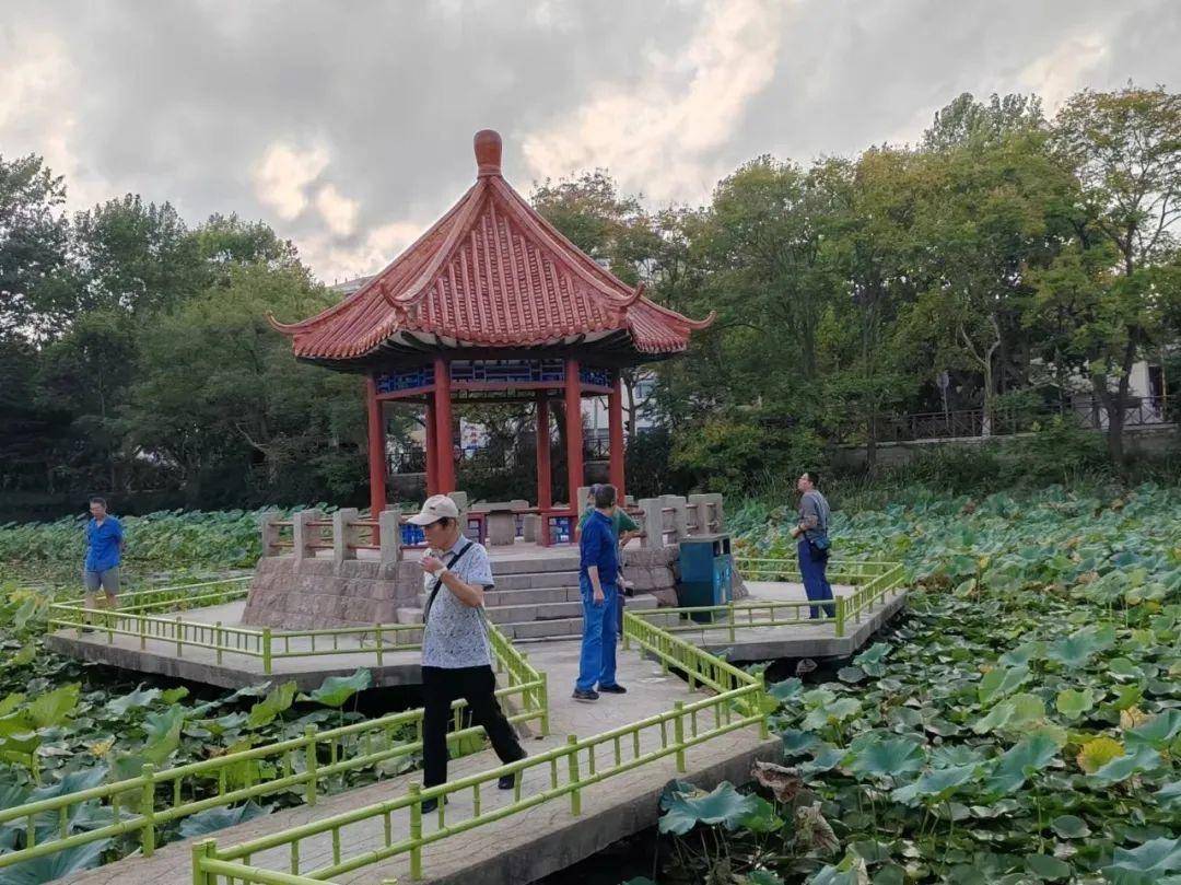 青岛中山公园一凉亭突然倒塌：一年前刚完成修缮<strong></p>
<p>主流虚拟币</strong>，园方称无伤亡原因待查