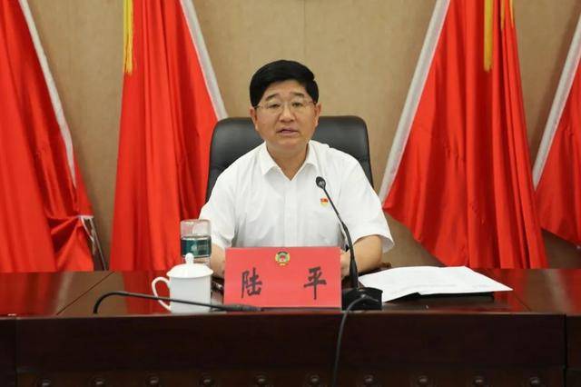 涉嫌严重违纪违法<strong></p>
<p>虚拟币广告</strong>，陆平主动投案