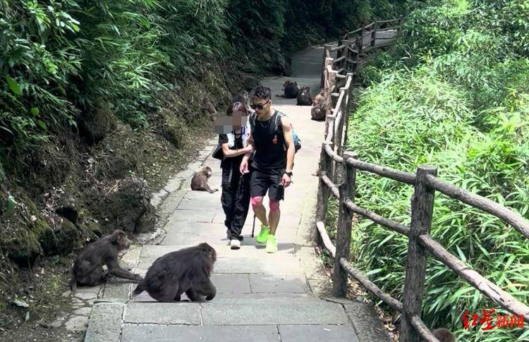 揭秘峨眉山陪爬团队：已陪爬千名游客九成为女性<strong></p>
<p>虚拟币广告</strong>，不会主动拉背扛抱，主要保障安全